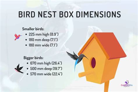 metal macaw nest box price|nest box size chart.